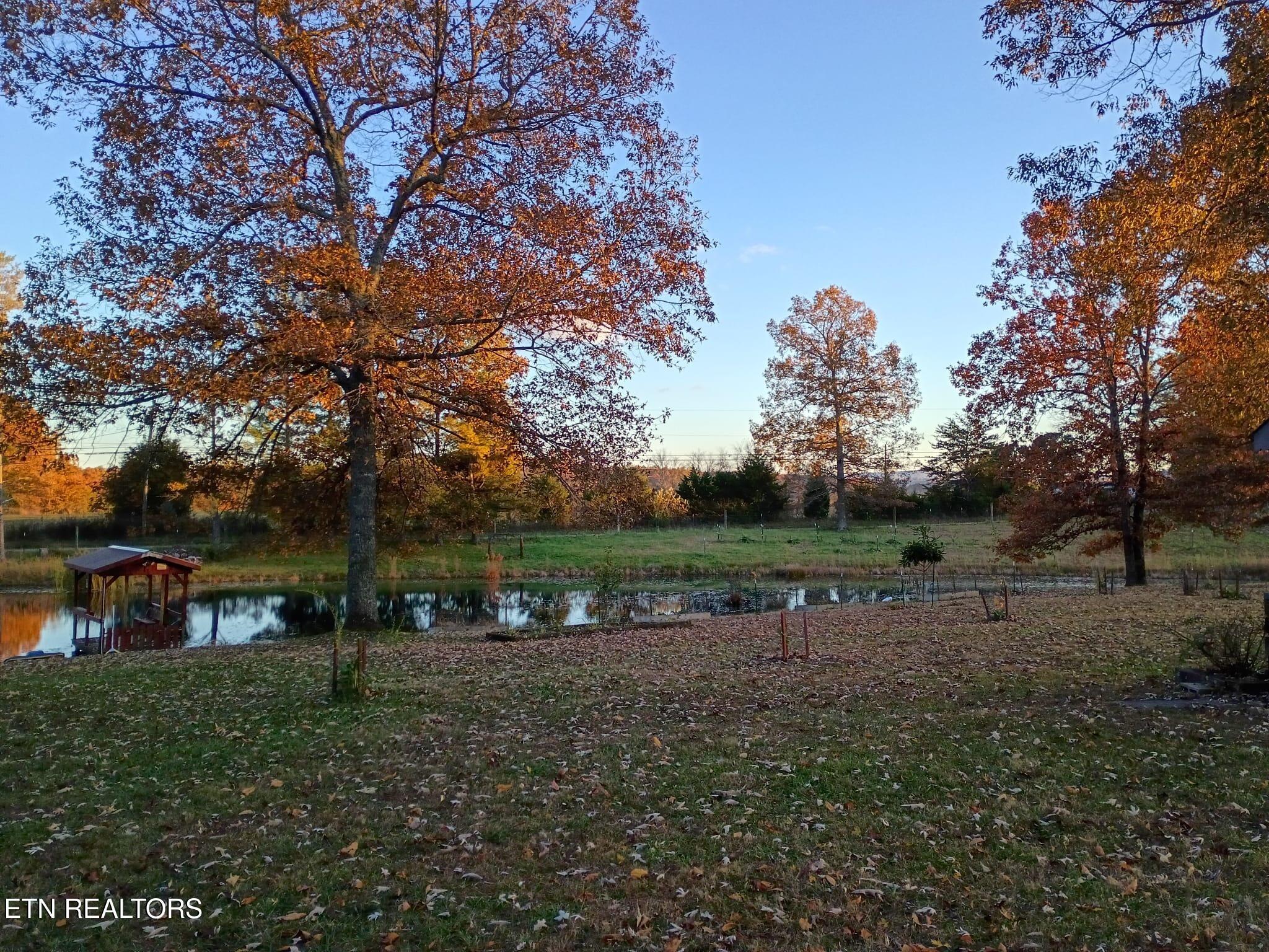 122 Frankfort Road Lancing, TN 37770 - Photo 44 of 60 Fall