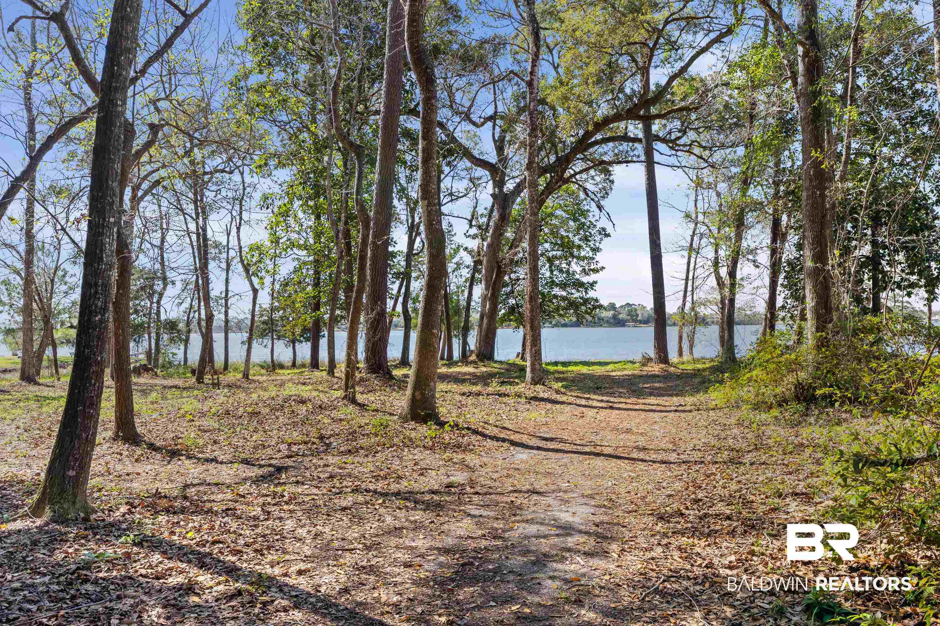 Forrest Street Mobile, AL 36605 - Photo 4 of 19