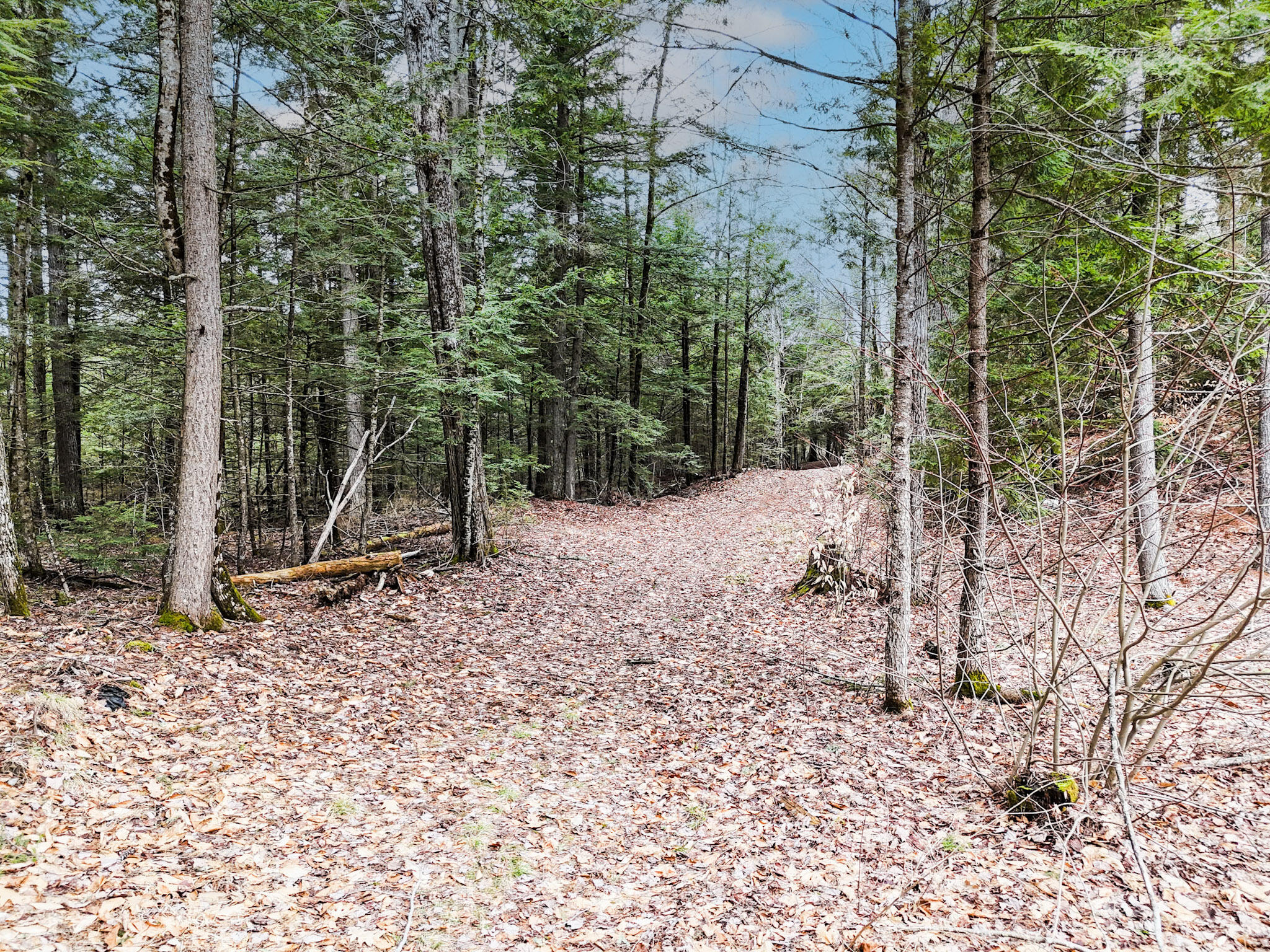 Property is on both sides of the path