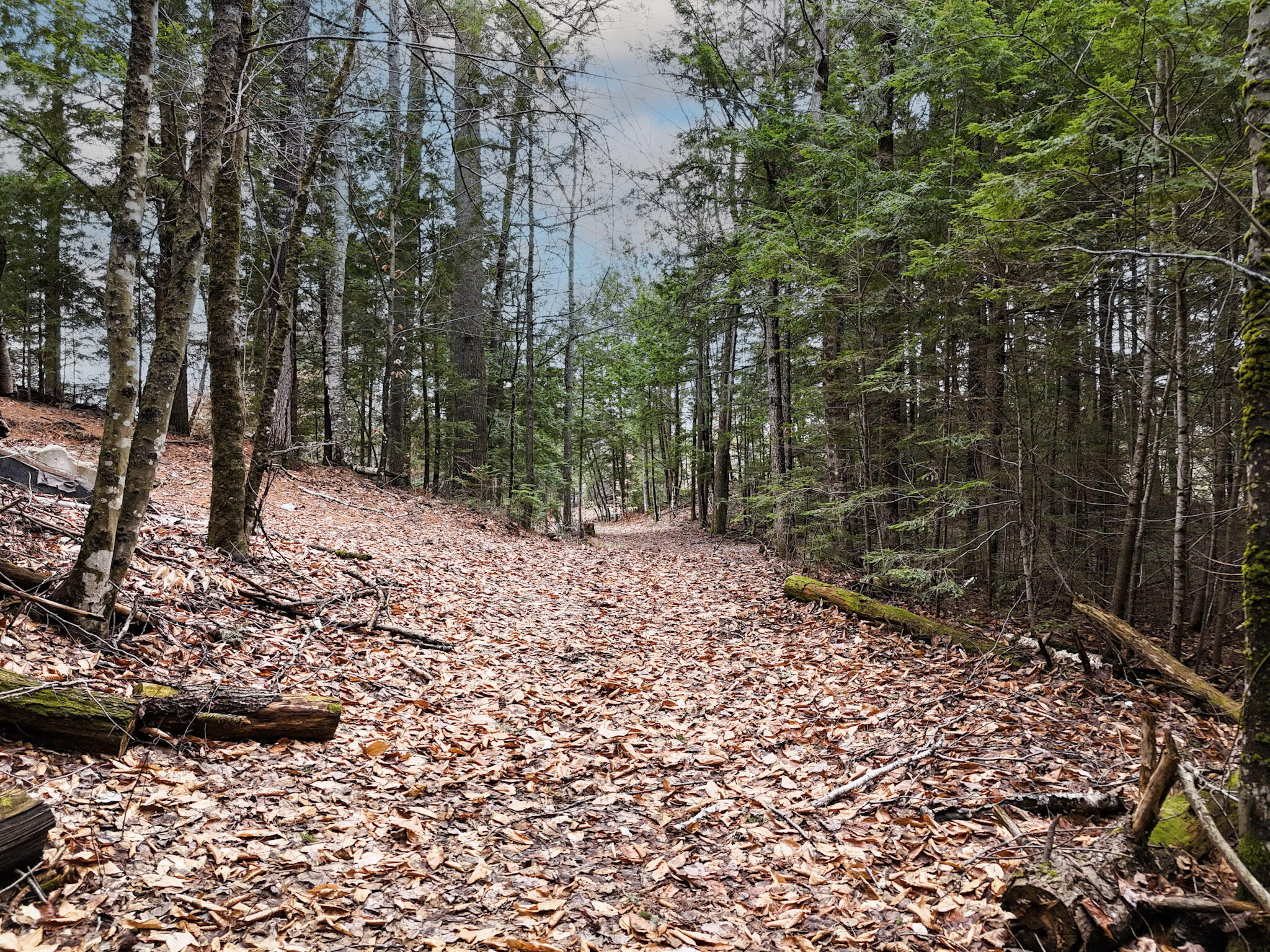 55 Salmon Road Madison, ME 04950 - Photo 11 of 17 Property on both sides of the Path