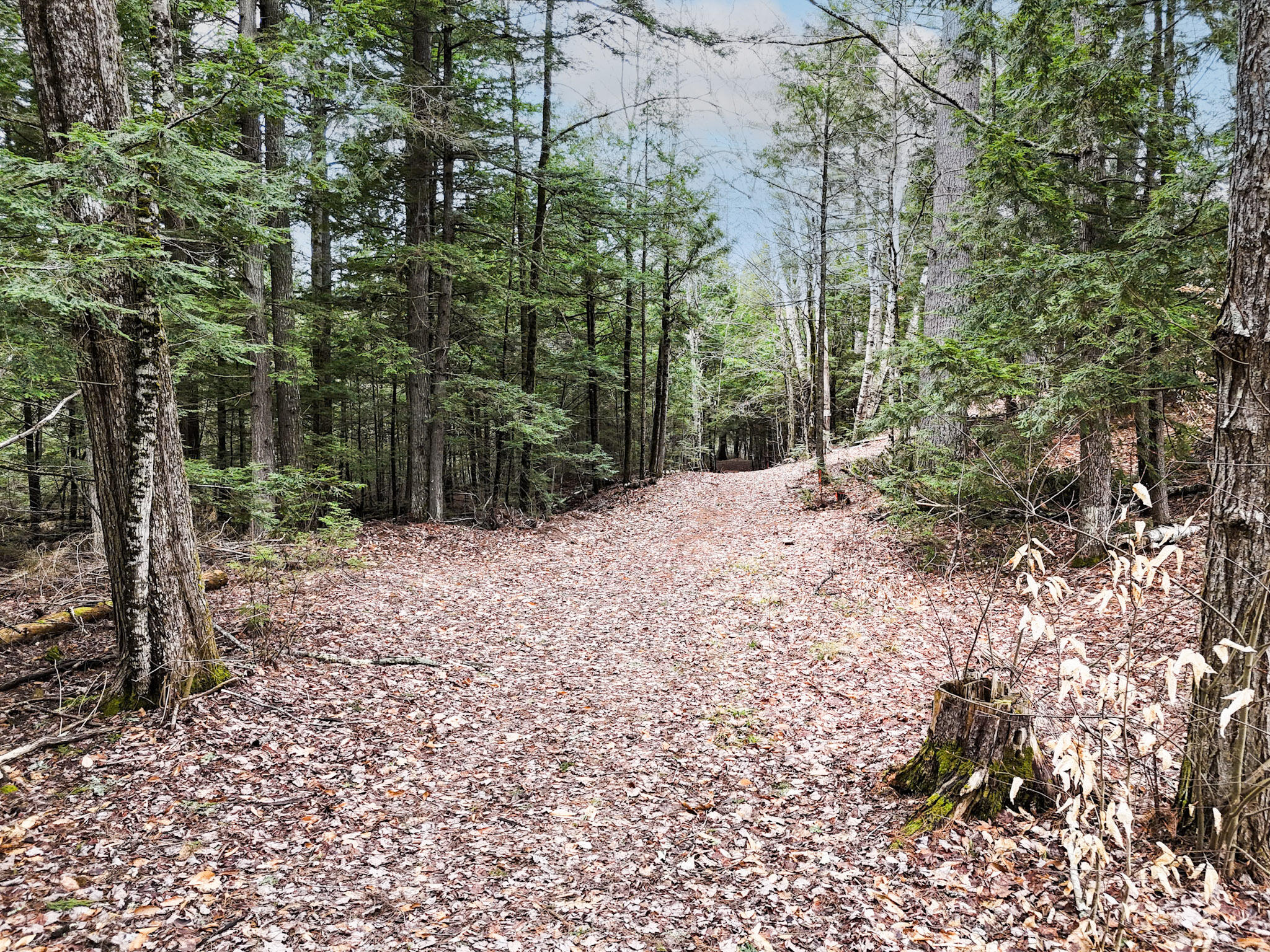 55 Salmon Road Madison, ME 04950 - Photo 3 of 17 Property is on both sides of the path