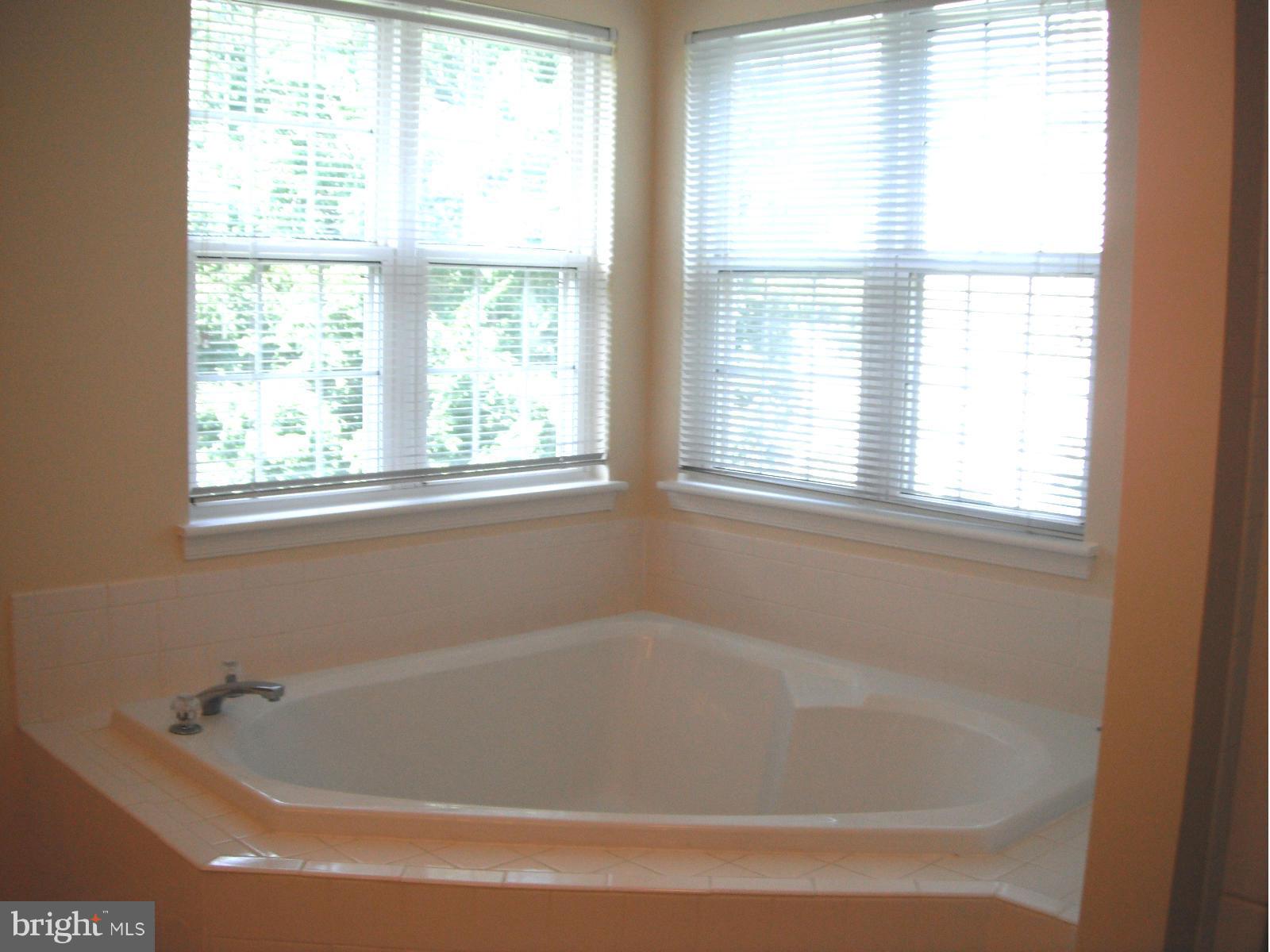 8012 Folkstone Road Manassas, VA 20111 - Photo 11 of 22 Bath (Master)