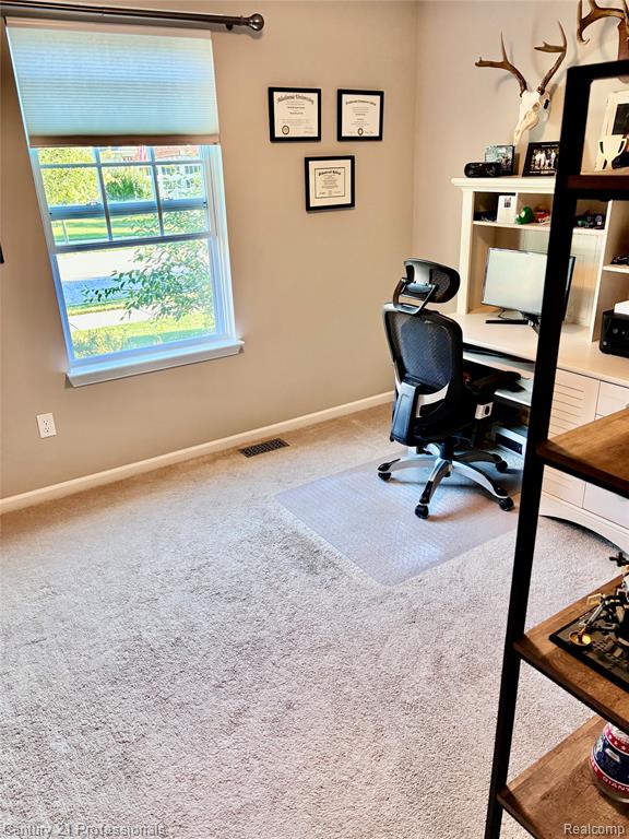 4157 Pepper Tree Lane Howell, MI 48843 - Photo 28 of 34 Gallery Image 28