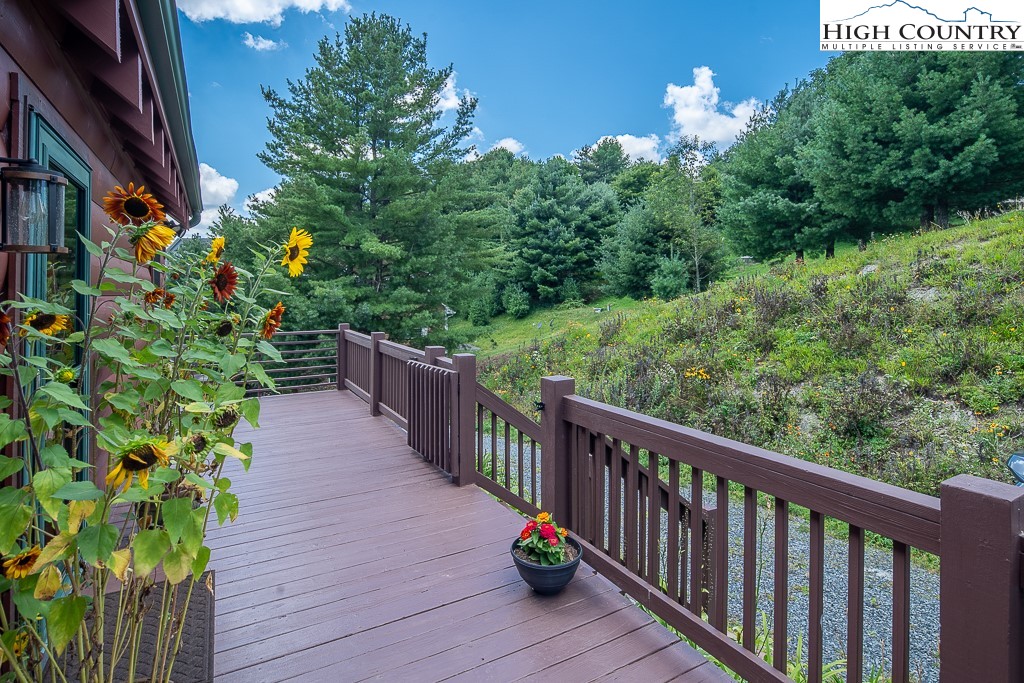 2191 Sorrento Drive Boone, NC 28607 - Photo 3 of 48