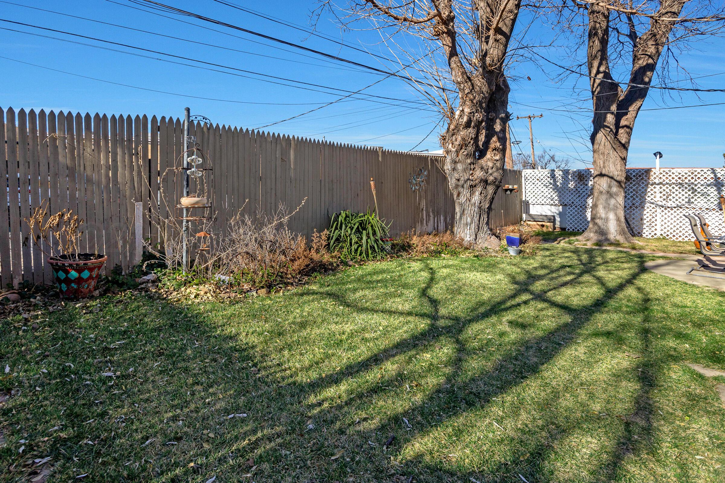 3208 South Rusk Street Amarillo, TX 79109 - Photo 29 of 29 29-Back Yard