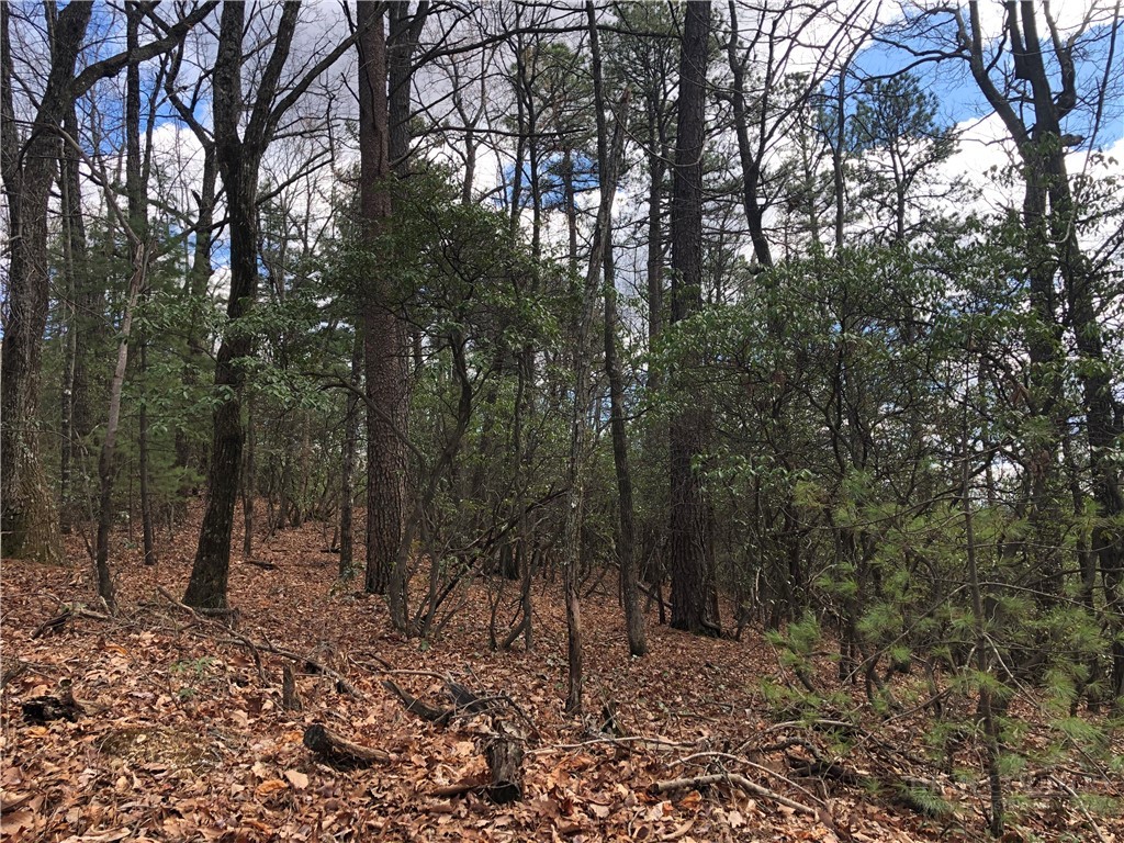 Lot 21 Bobcat Mountain Road Purlear, NC 28665 - Photo 2 of 46 a view of a forest with trees in the background