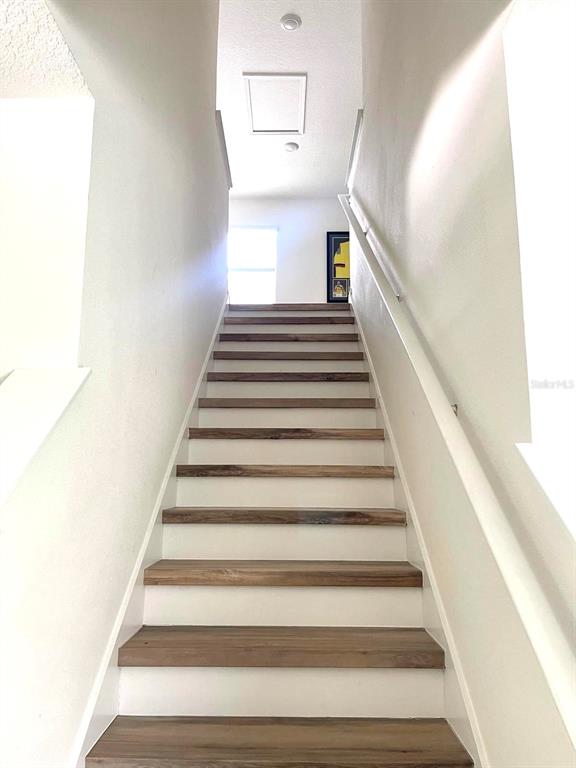 2771 Common Fig Run Wesley Chapel, FL 33543 - Photo 8 of 16 a view of entryway