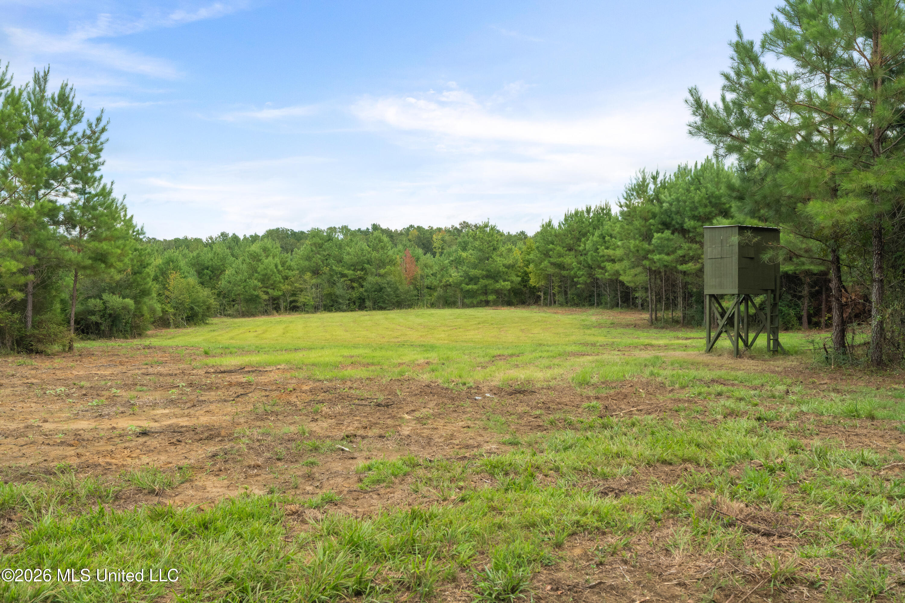 2705 Pilgrims Rest Road Magnolia, MS 39652 - Photo 53 of 68 2629_Pilgrims_Rest_Rd_Lot_3-11