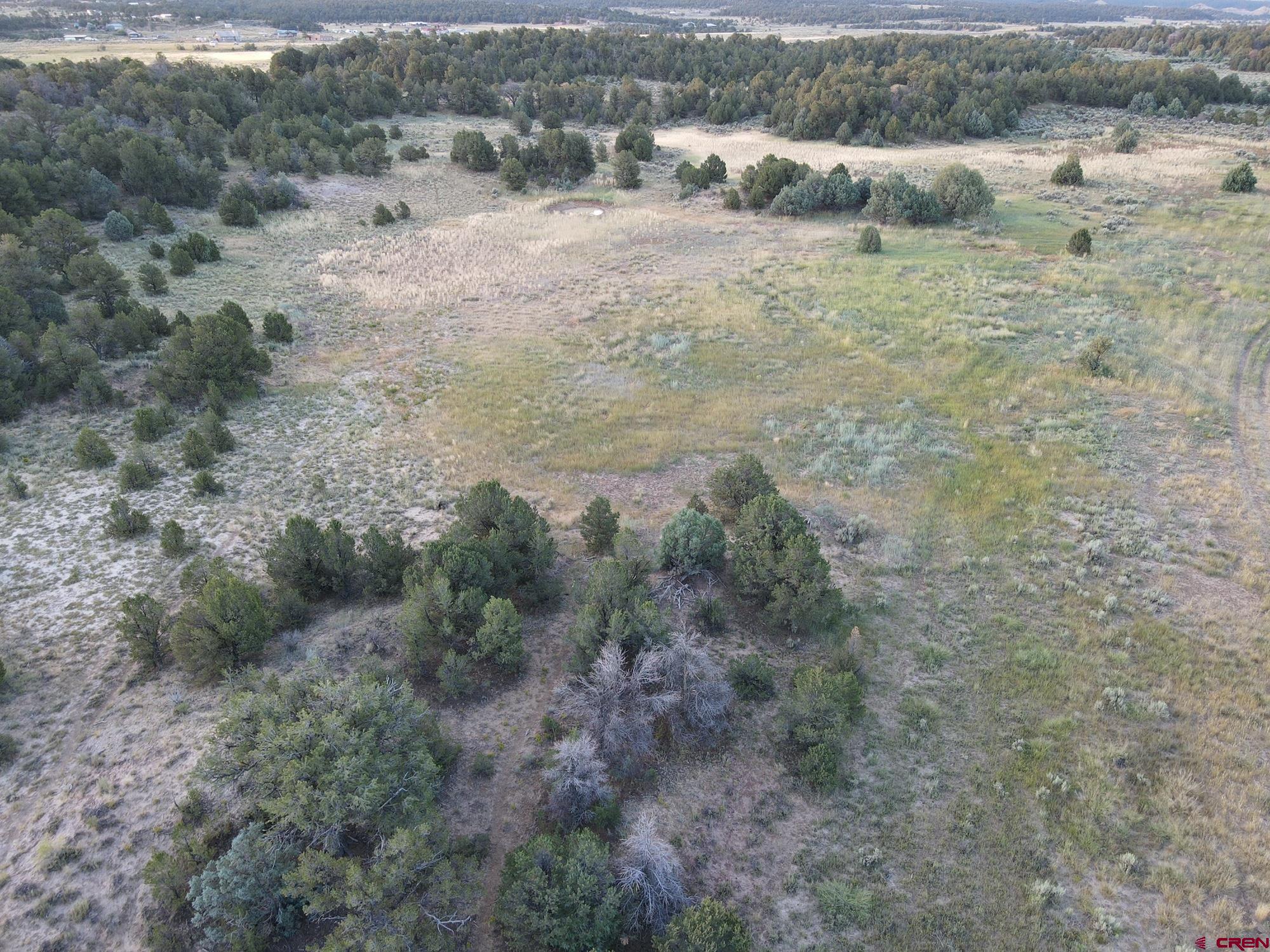 100 Sawmill Road, Unit REGINA MOUNTAIN RANCH Counselor, NM 87018 - Photo 4 of 32 a view of a dry yard with trees