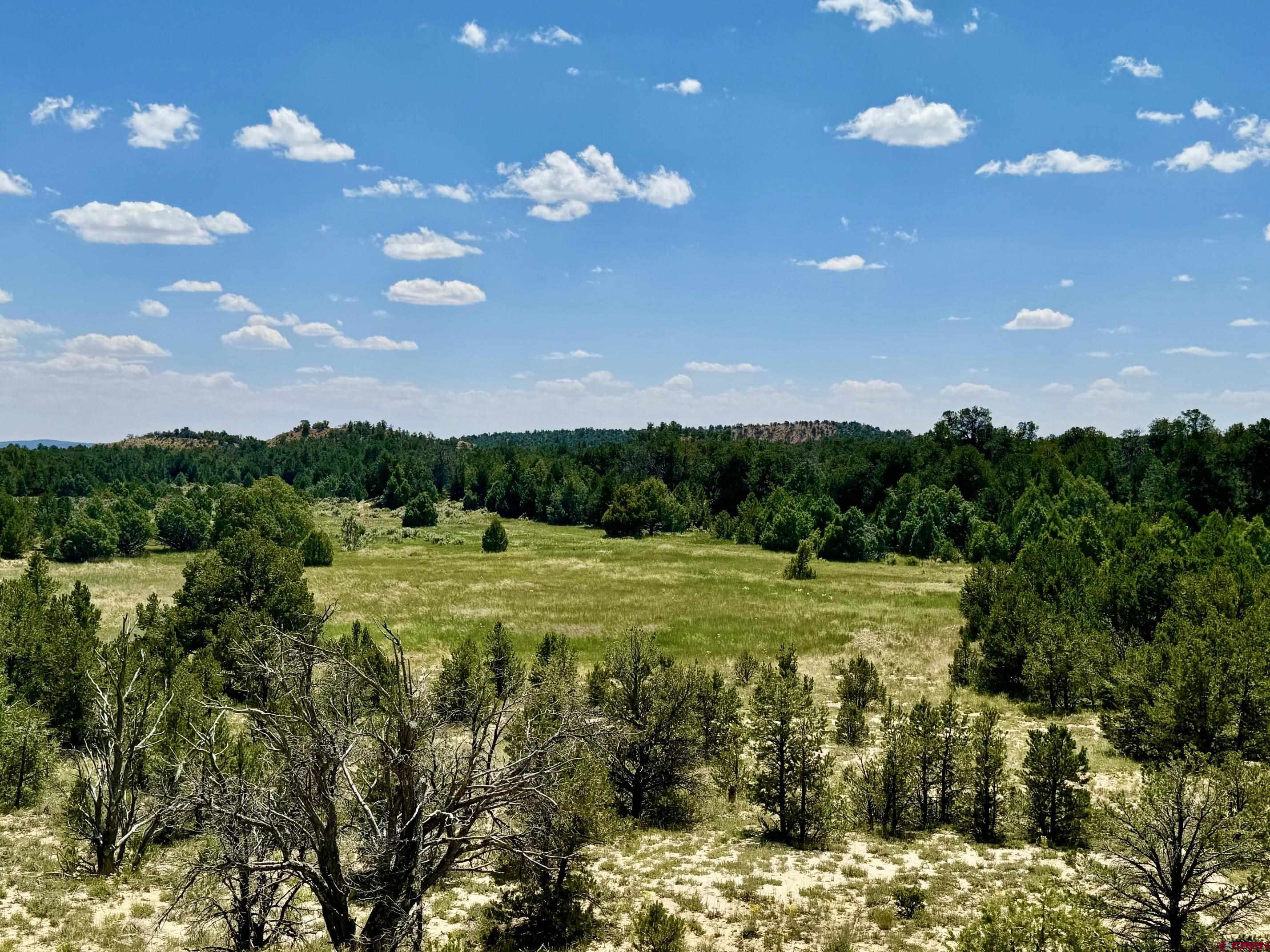 100 Sawmill Road, Unit REGINA MOUNTAIN RANCH Counselor, NM 87018 - Photo 8 of 32 a view of an ocean from a yard