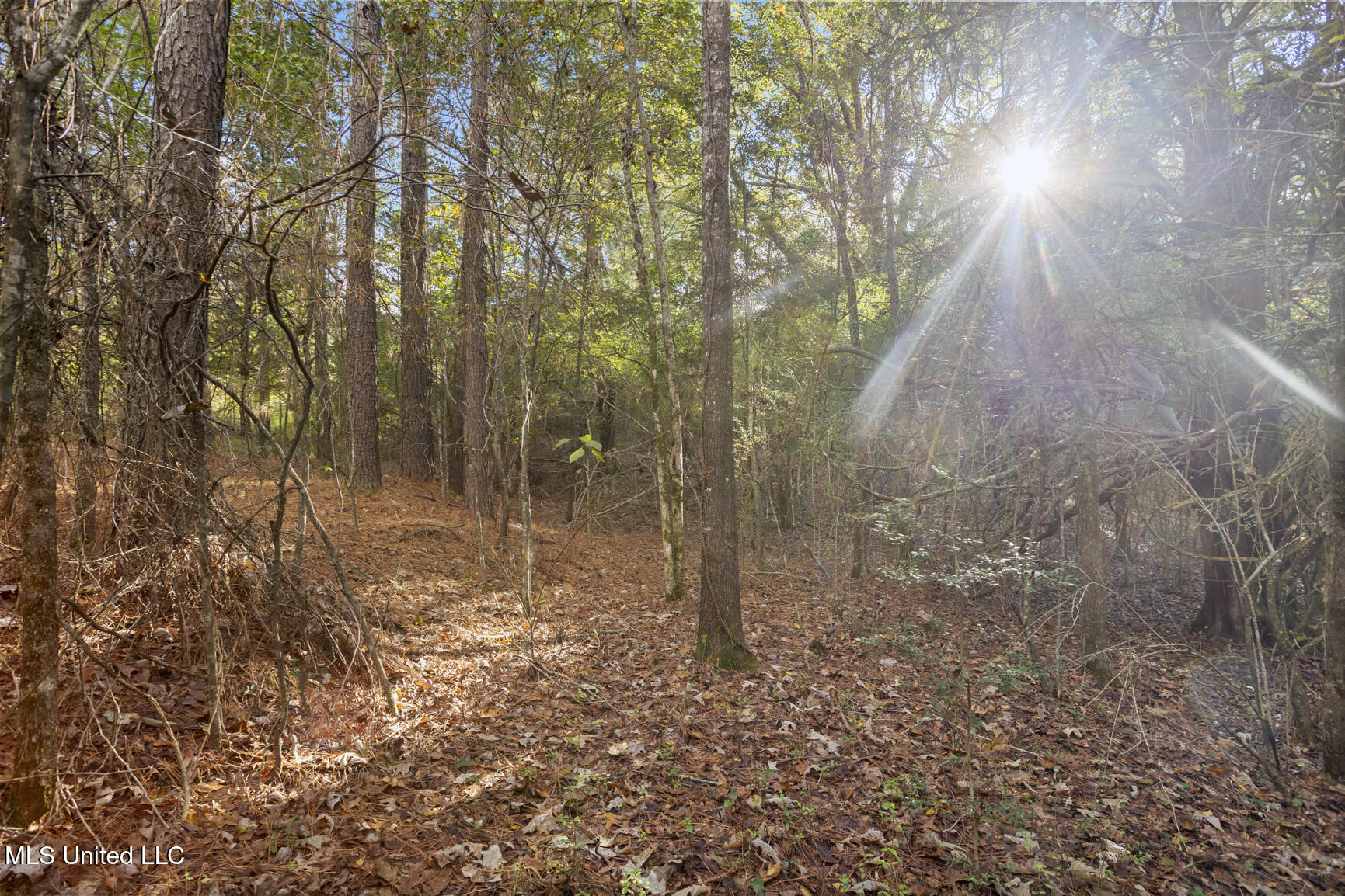 2049 Cleary Road Florence, MS 39073 - Photo 28 of 29 2049 Cleary Rd-22
