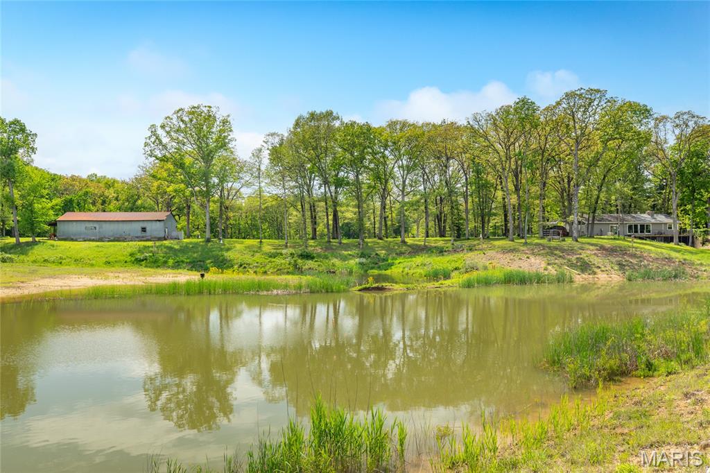 222 Prairietown Road Dorsey, IL 62021 - Photo 12 of 51