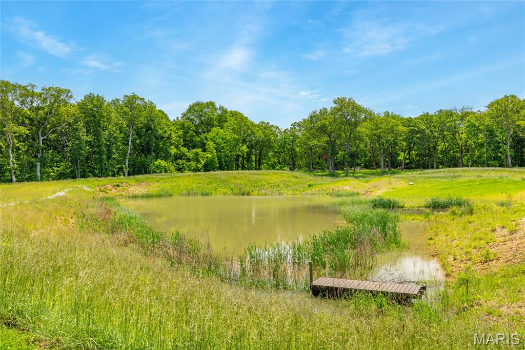 222 Prairietown Road Dorsey, IL 62021 - Photo 7 of 51