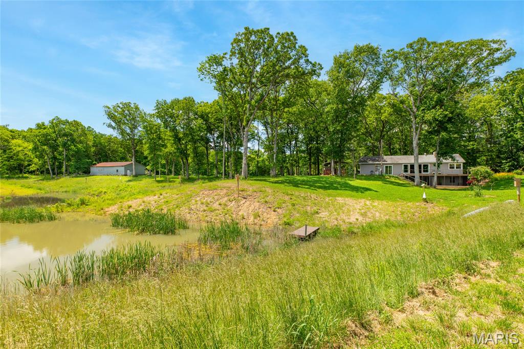 222 Prairietown Road Dorsey, IL 62021 - Photo 8 of 51
