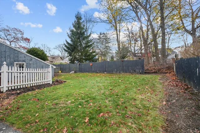 a view of a backyard with a large tree
