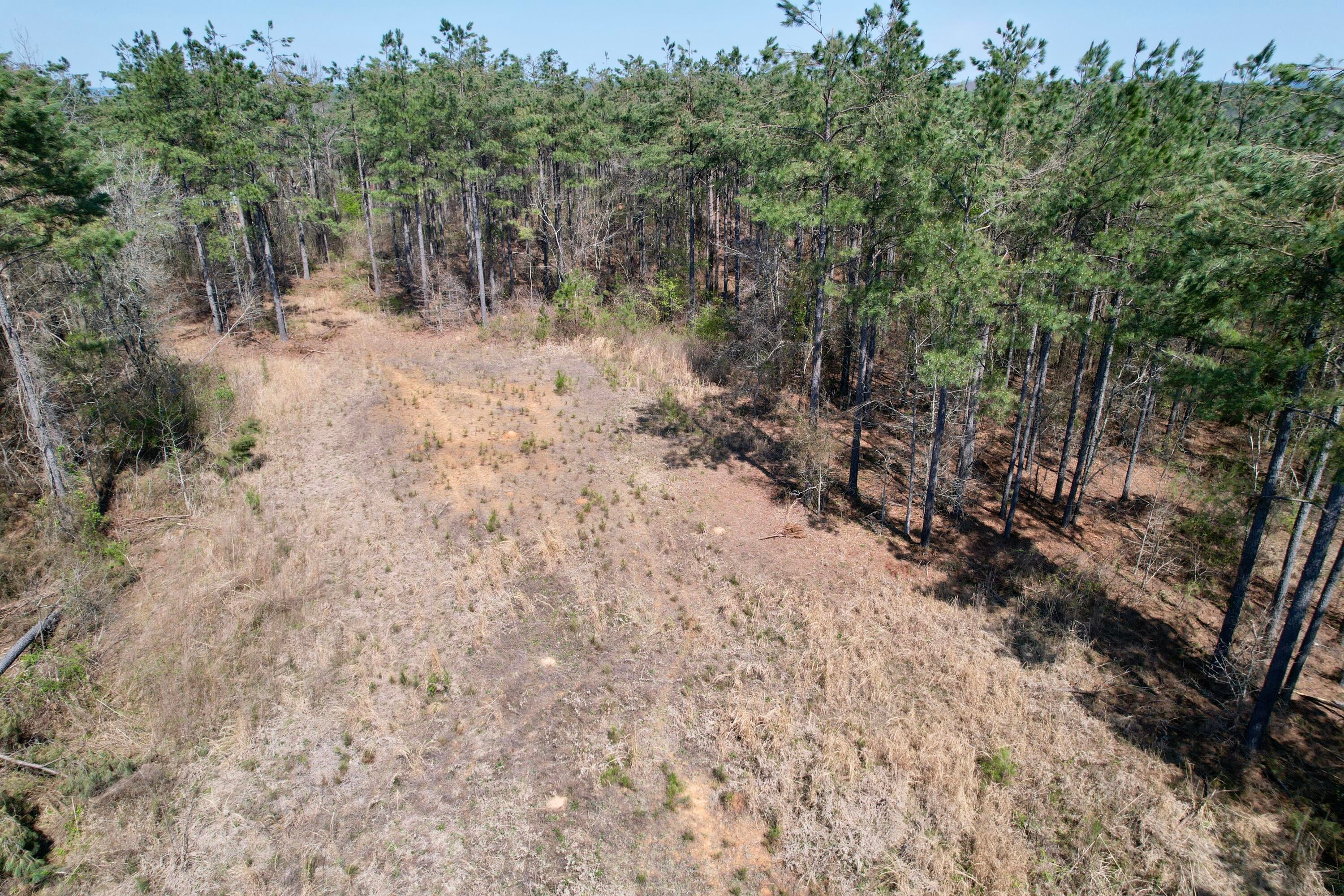 231 Rd Iuka Ms 38852 Cherokee, AL 35616 - Photo 7 of 20 Gallery Image 7