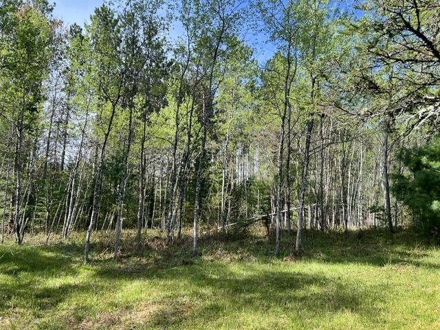 W8263 County Road Pembine, WI 54156 - Photo 4 of 17