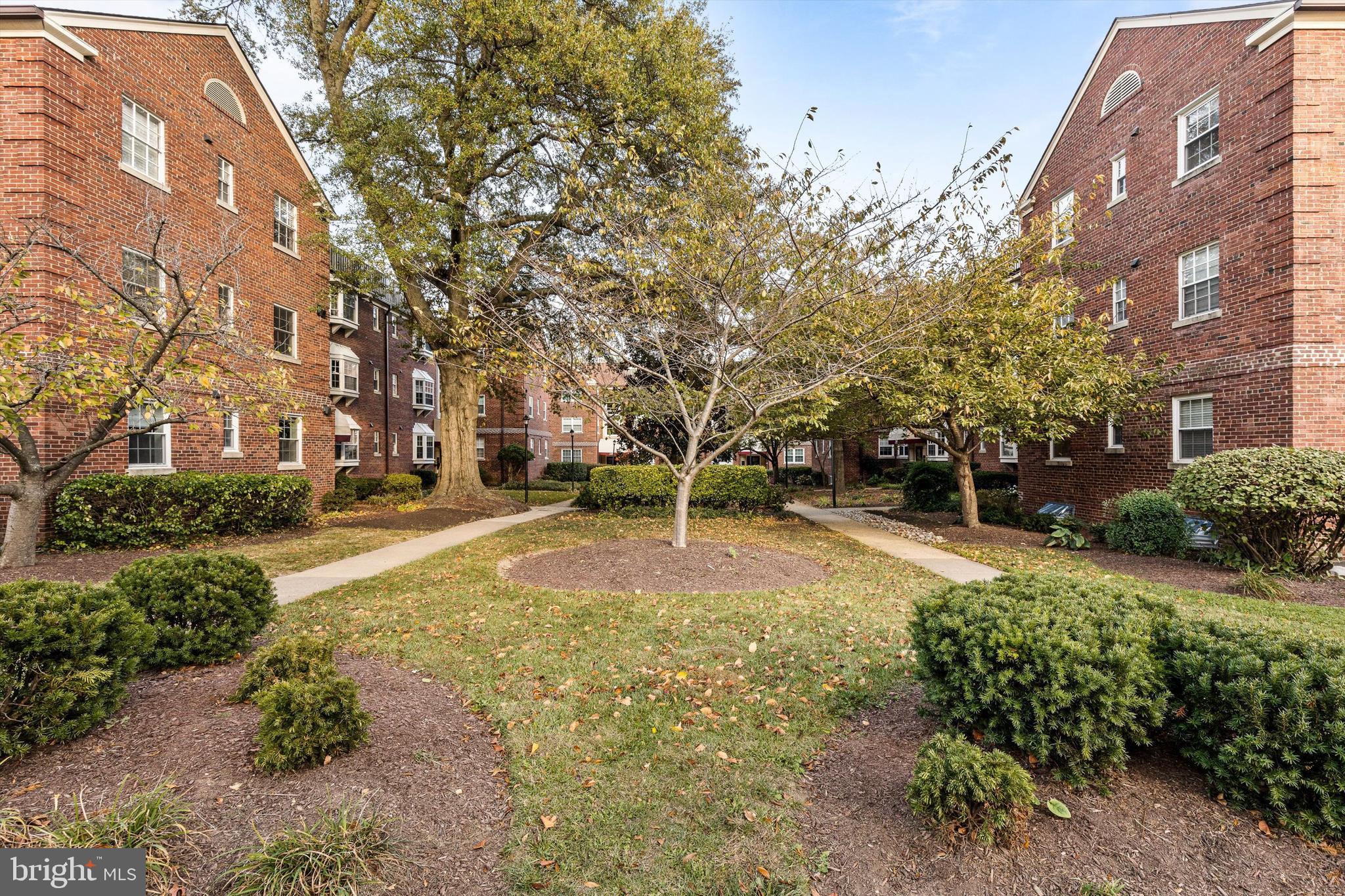 2107 North Scott Street, Unit 67 Arlington, VA 22209 - Photo 14 of 15 Community Courtyard