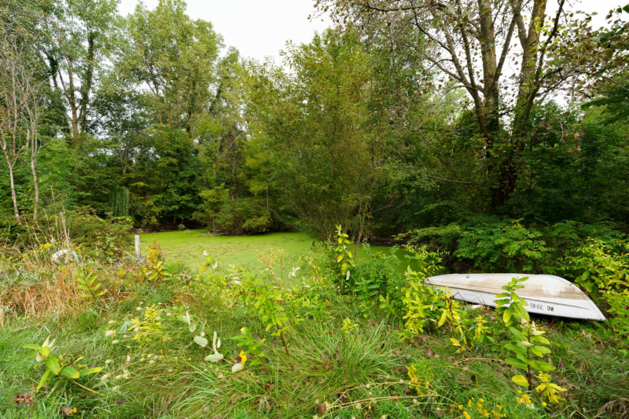 1376 Hoffman Road Climax, MI 49034 - Photo 28 of 44 Hoffman_Dr_1376_Climax_49034-36