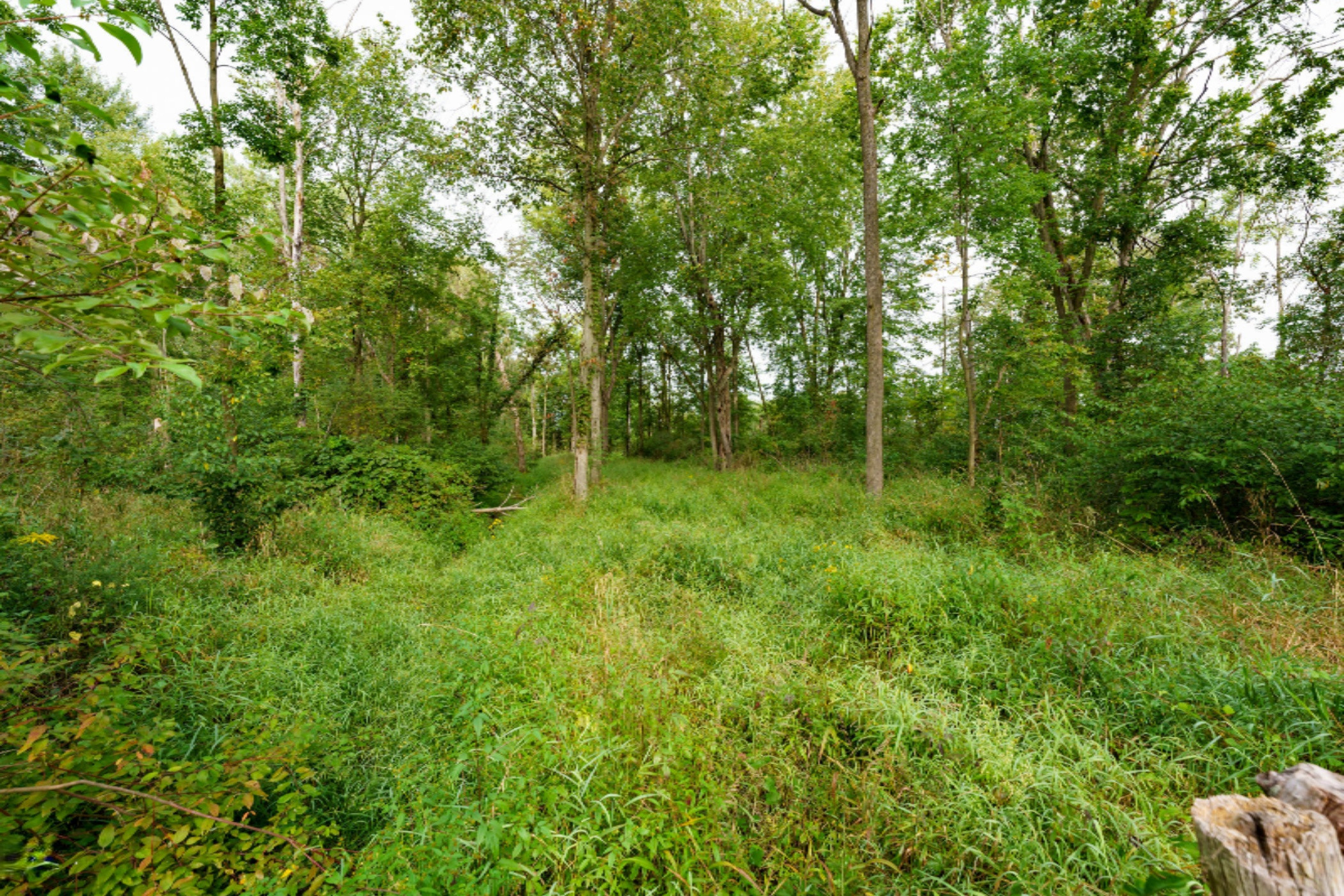 1376 Hoffman Road Climax, MI 49034 - Photo 34 of 44 Hoffman_Dr_1376_Climax_49034-64