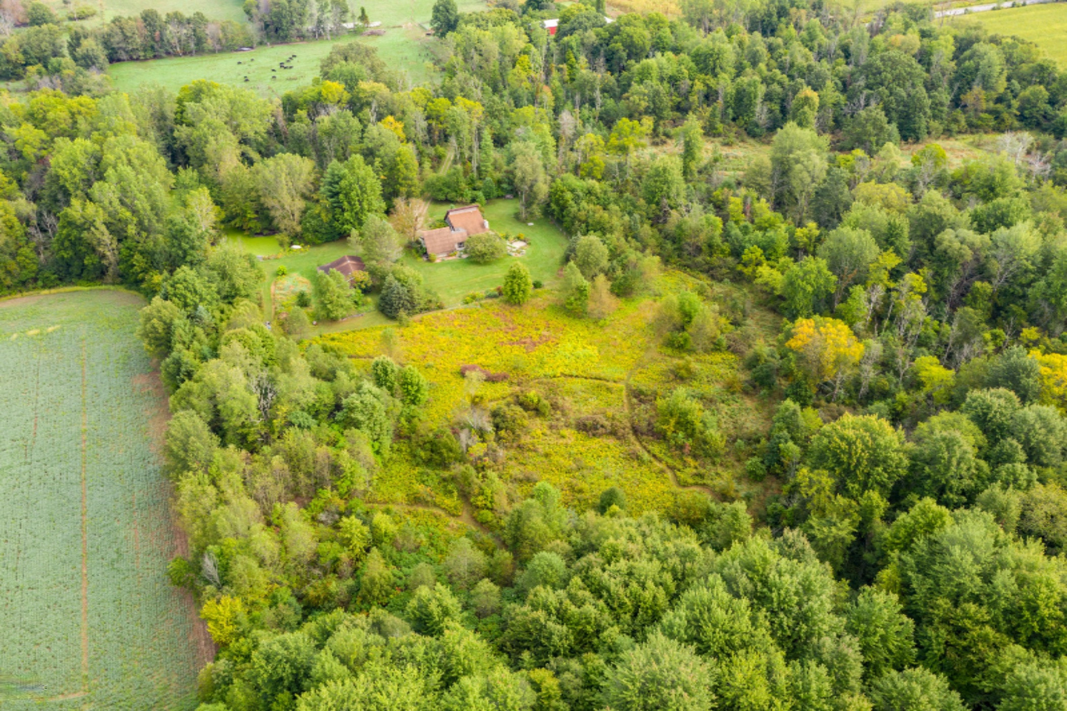 1376 Hoffman Road Climax, MI 49034 - Photo 36 of 44 Hoffman_Dr_1376_Climax_49034-72