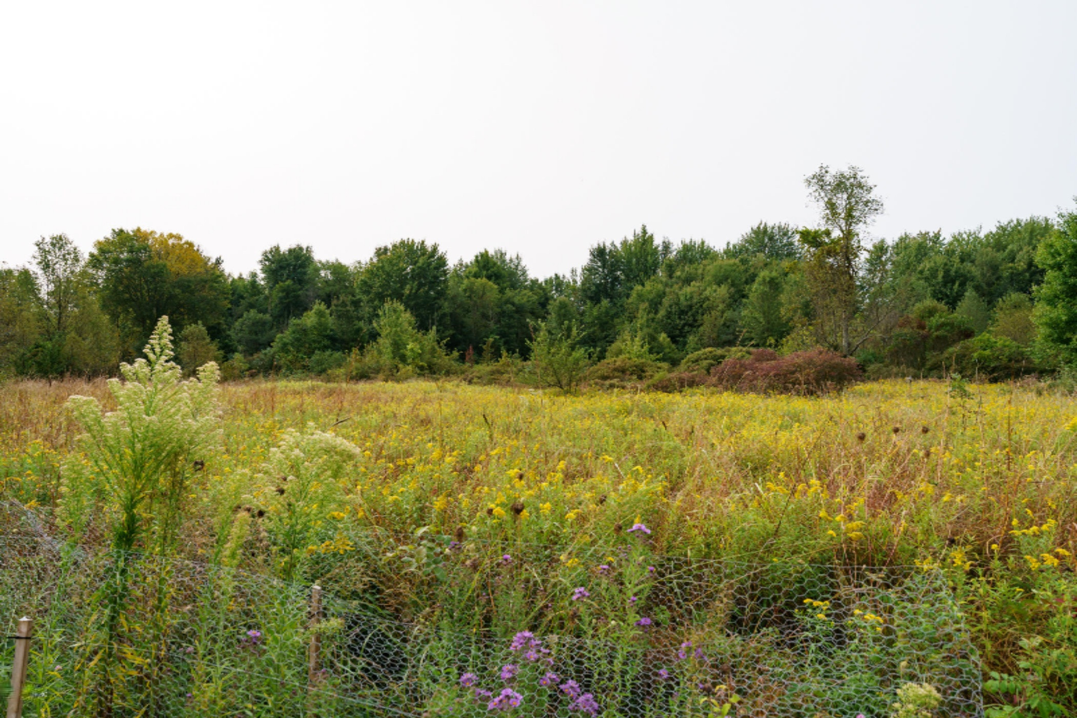 1376 Hoffman Road Climax, MI 49034 - Photo 43 of 44 Hoffman_Dr_1376_Climax_49034-47