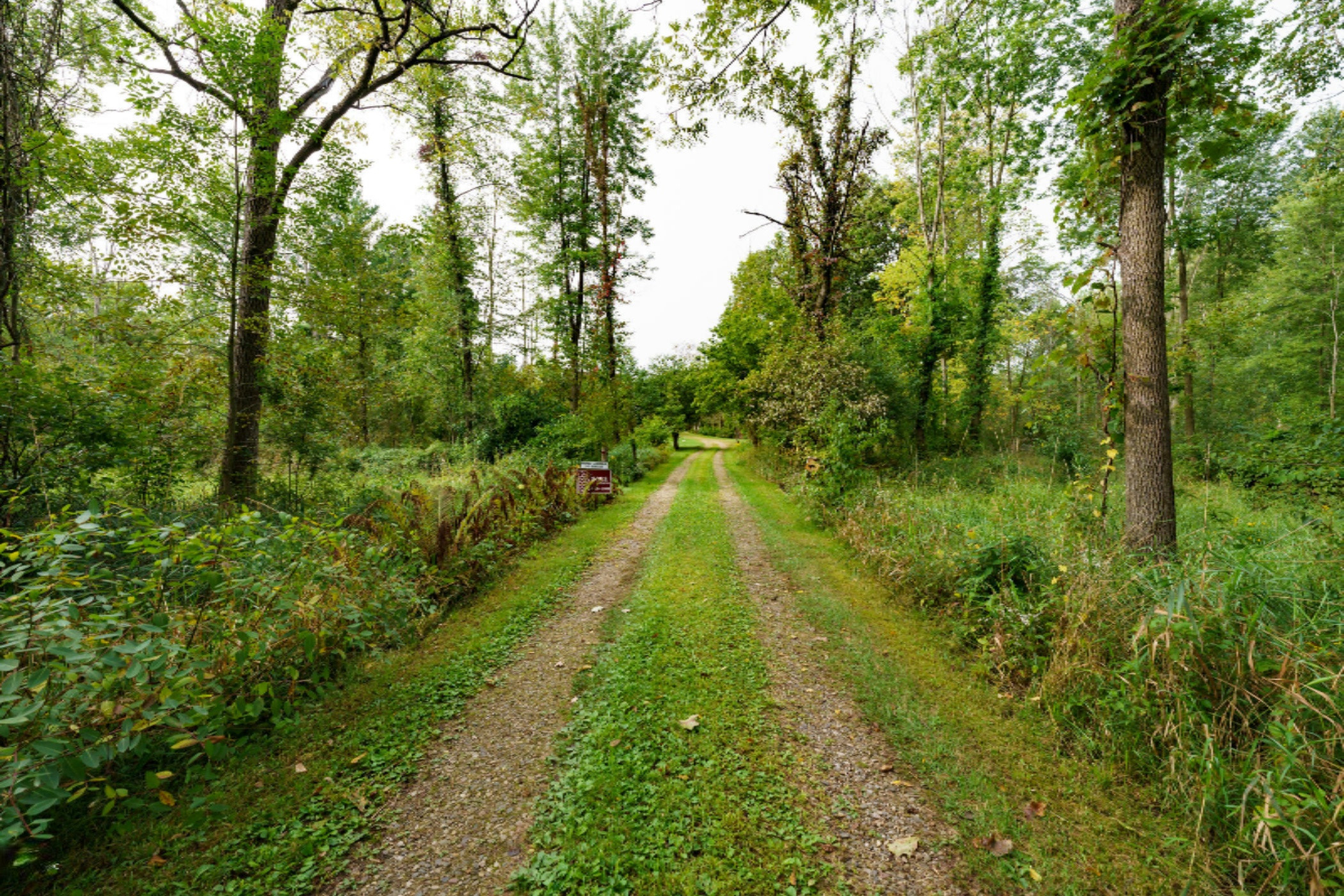 1376 Hoffman Road Climax, MI 49034 - Photo 7 of 44 Hoffman_Dr_1376_Climax_49034-62