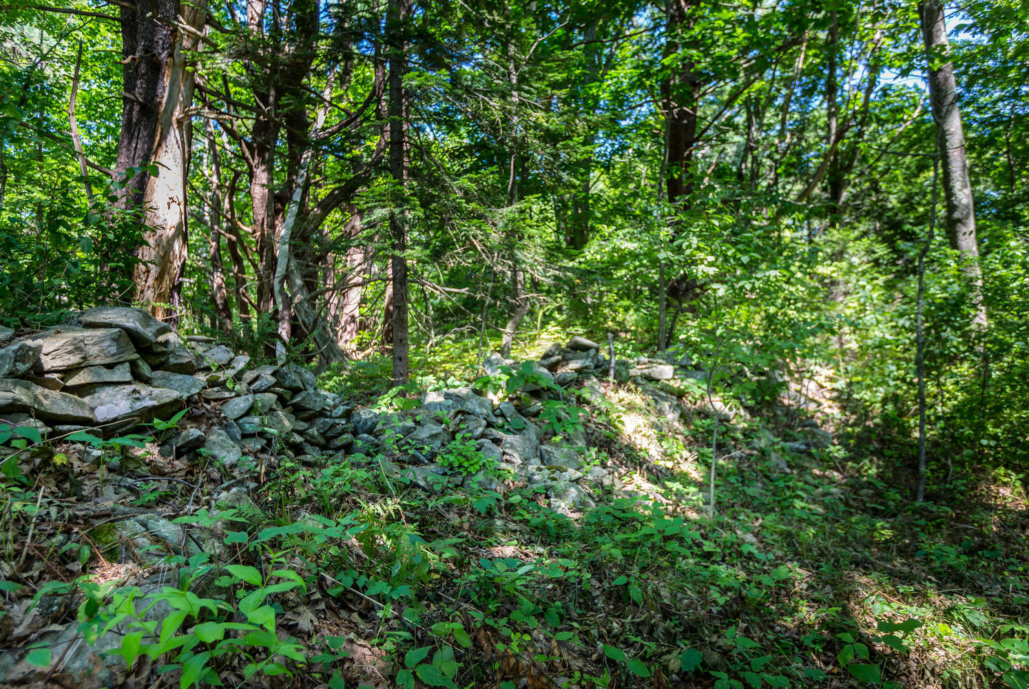 2 Stirrup Road Cape Elizabeth, ME 04107 - Photo 52 of 57 2 Stirrup Rd