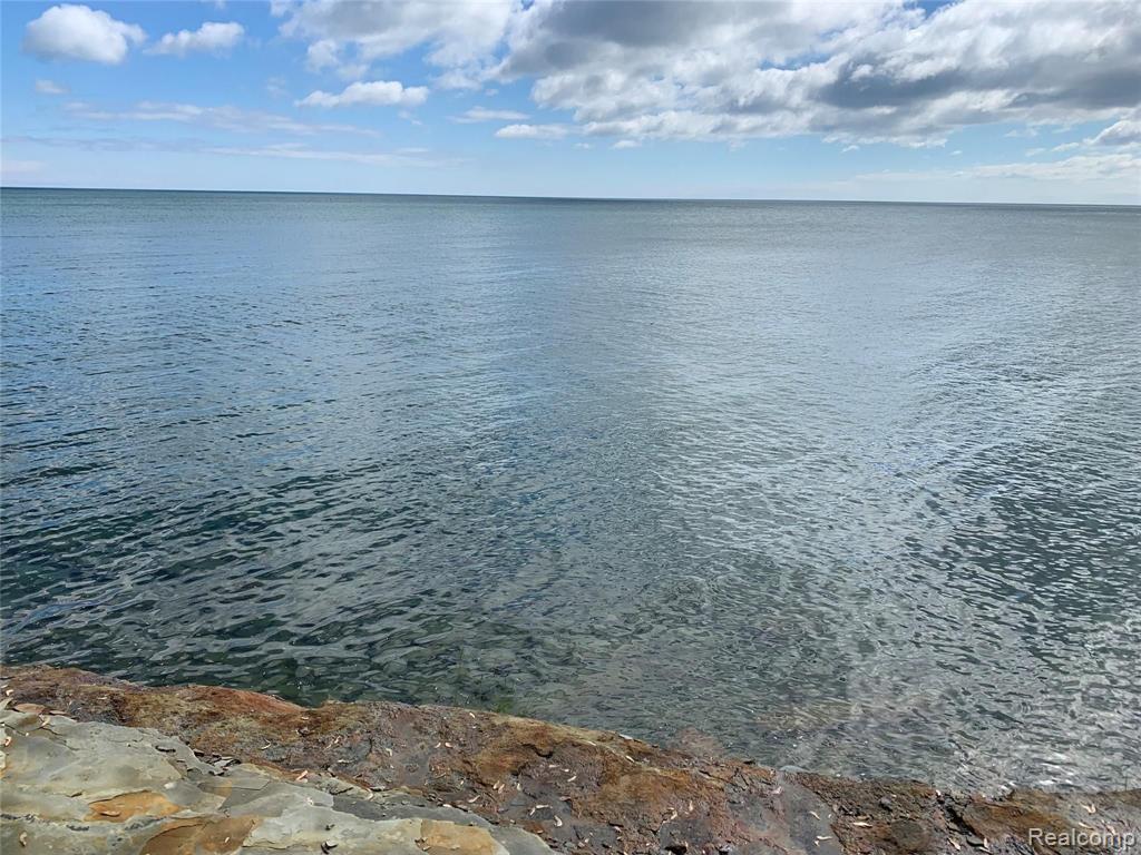 0 Lighthouse Road Port Hope, MI 48468 - Photo 7 of 12