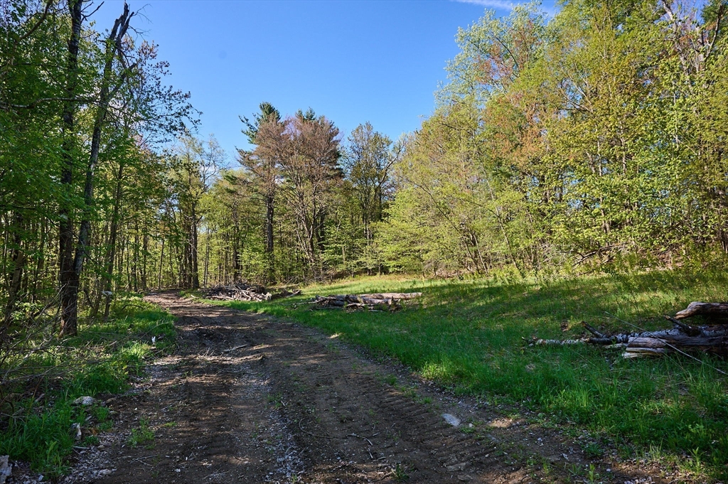 0 Radiker Road Worthington, MA 01098 - Photo 4 of 18 a backyard of a house with lots of green space
