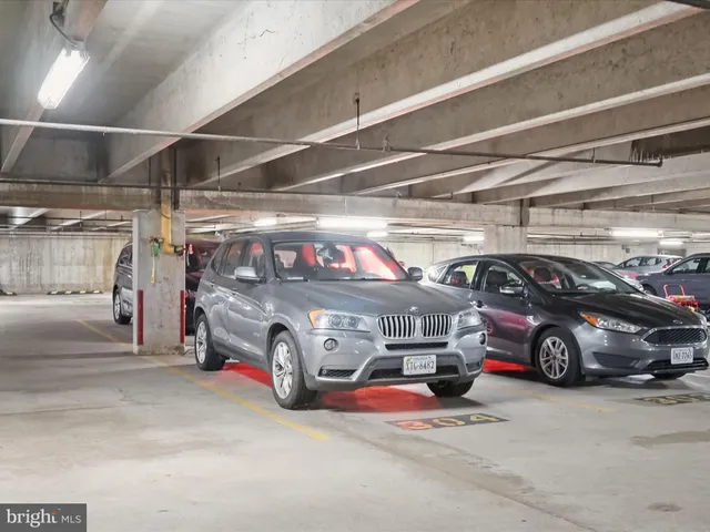a view of backyard with large trees and plants