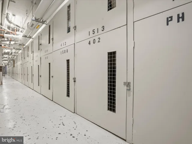 a view of a pathway both side of yard