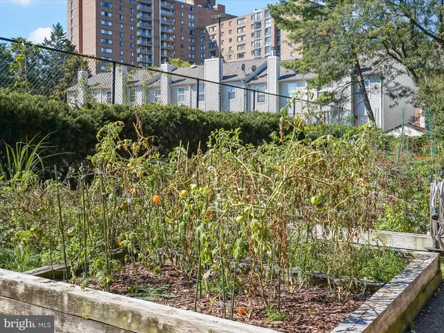 a view of a street with a yard