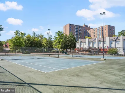 a view of a park with large trees