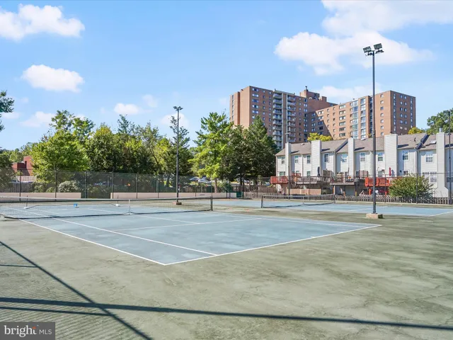a view of a park with large trees