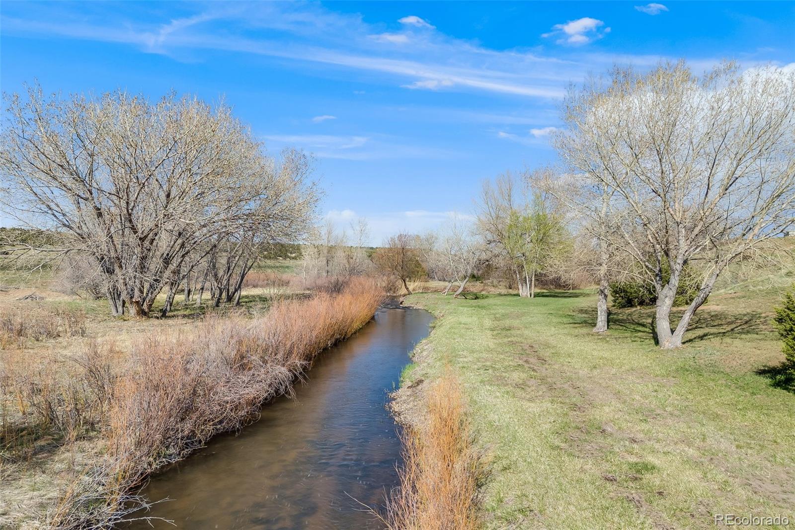 185 River Ridge Trail Walsenburg, CO 81089 - Photo 48 of 50 a view of a yard with an trees