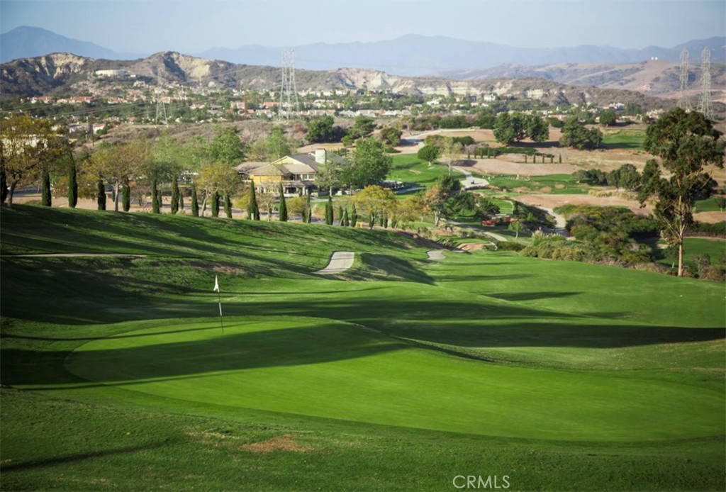 121 Boca De La Playa, Unit 1 San Clemente, CA 92672 - Photo 43 of 47 a view of a big yard