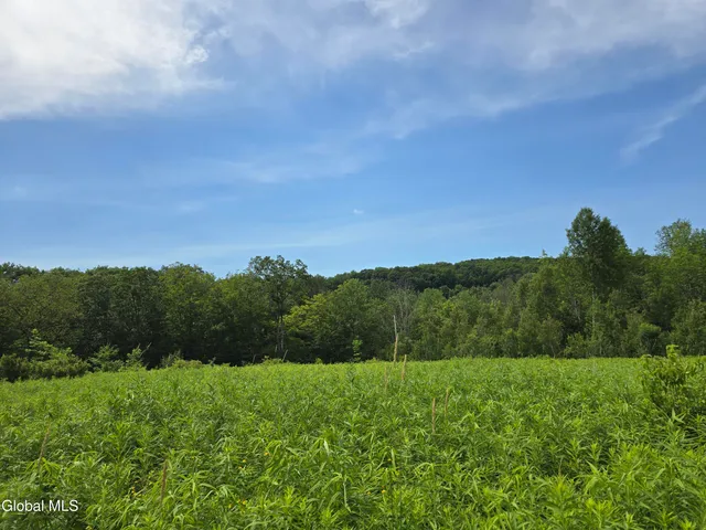 $59,000 | L20.34 East Road, Stephentown, NY 12168