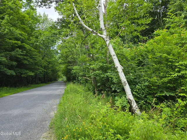 $59,000 | L20.34 East Road, Stephentown, NY 12168