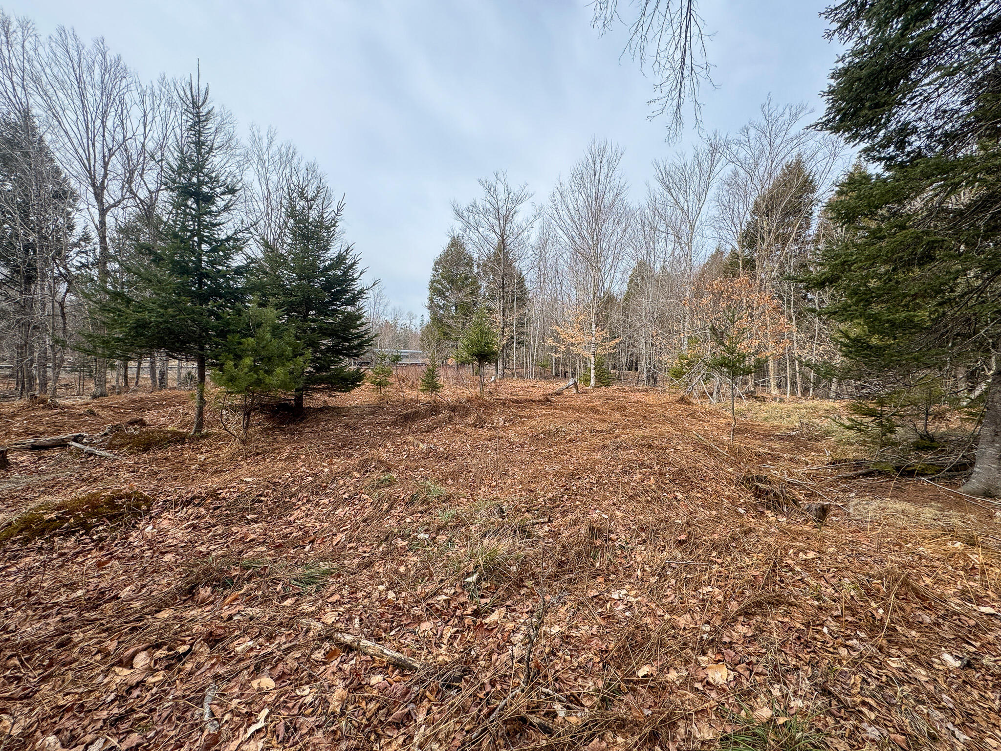 M11-l10 Gordon Hill Road Thorndike, ME 04986 - Photo 14 of 17