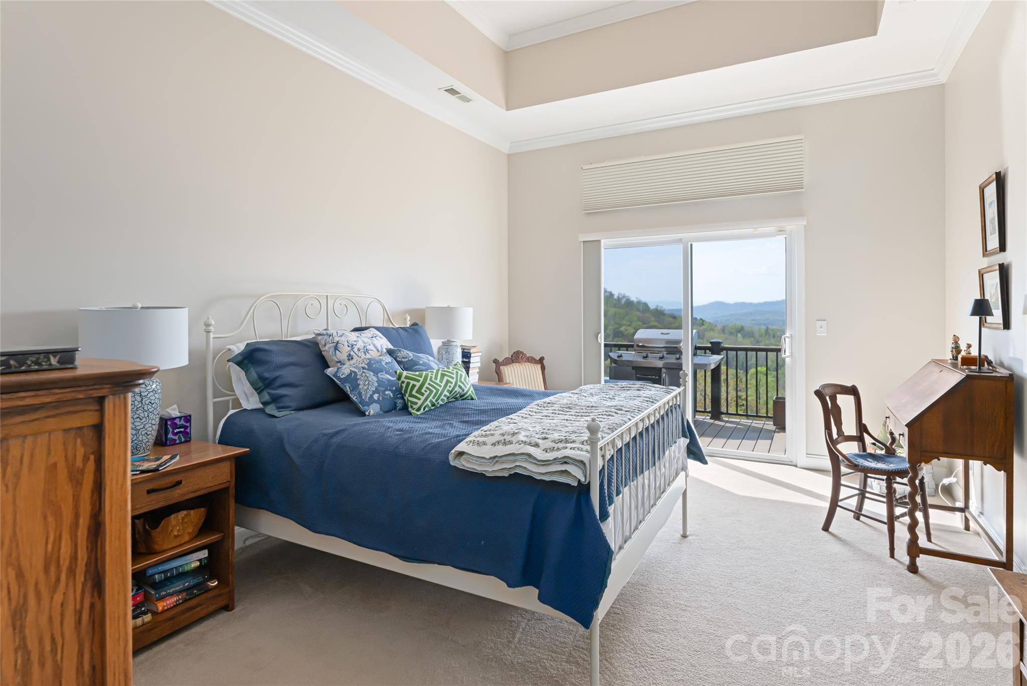 116 Dalya Road Swannanoa, NC 28778 - Photo 19 of 47