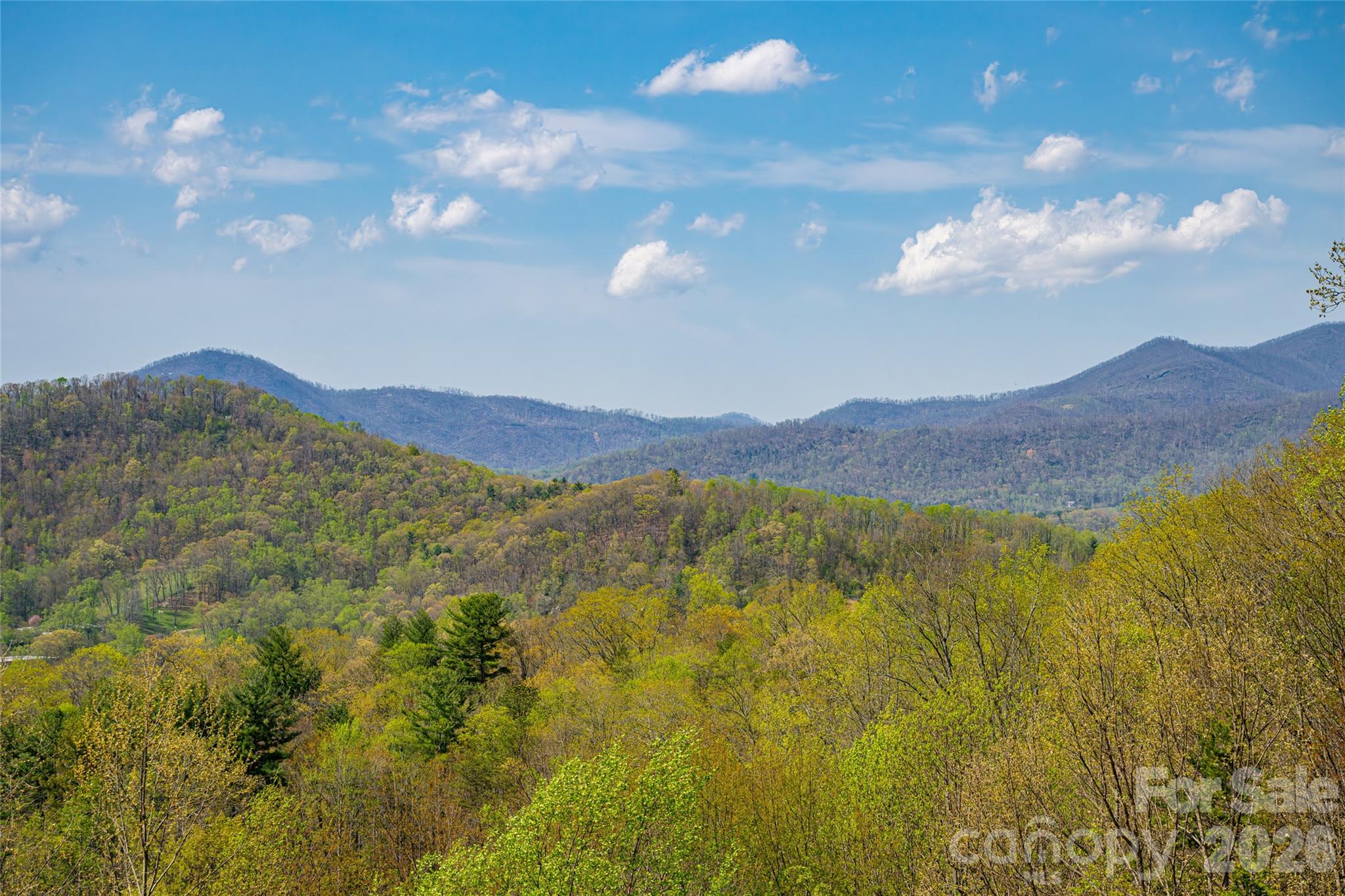 116 Dalya Road Swannanoa, NC 28778 - Photo 42 of 47