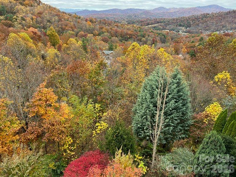 116 Dalya Road Swannanoa, NC 28778 - Photo 45 of 47