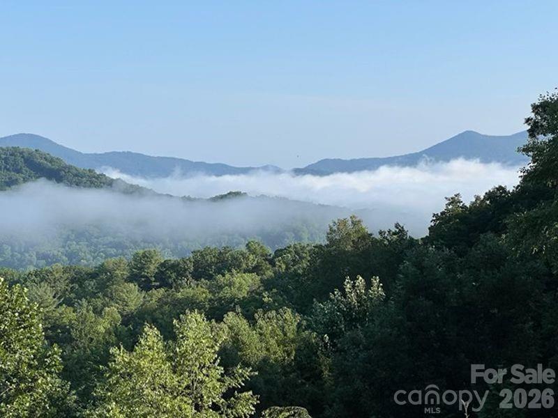 116 Dalya Road Swannanoa, NC 28778 - Photo 46 of 47