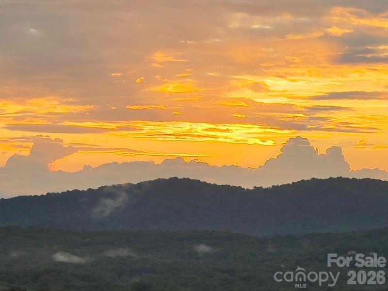 116 Dalya Road Swannanoa, NC 28778 - Photo 47 of 47