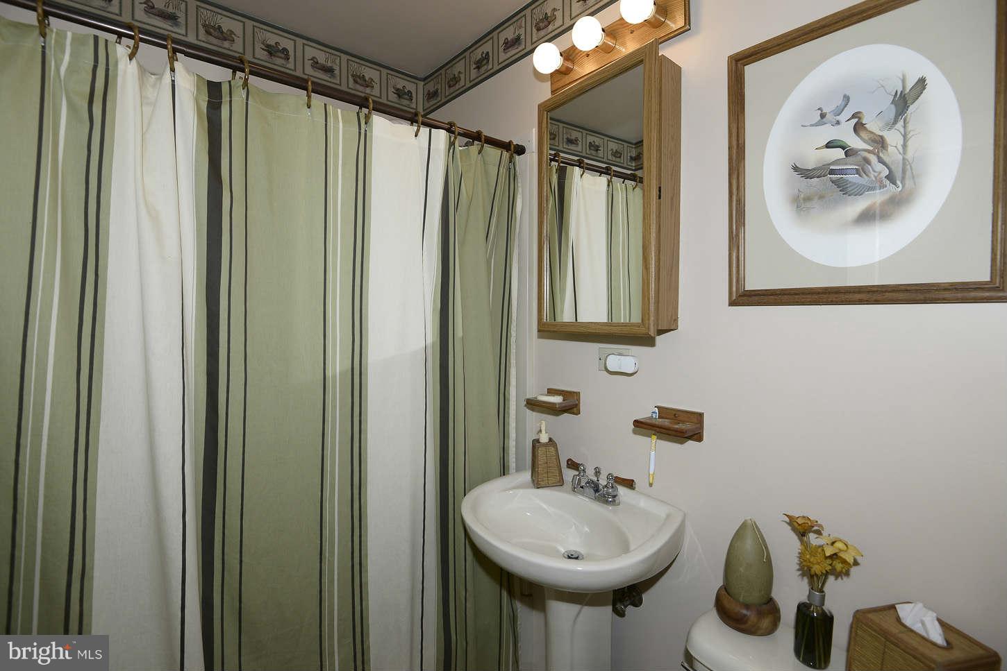 12110 Selfridge Road Silver Spring, MD 20906 - Photo 9 of 26 Bath