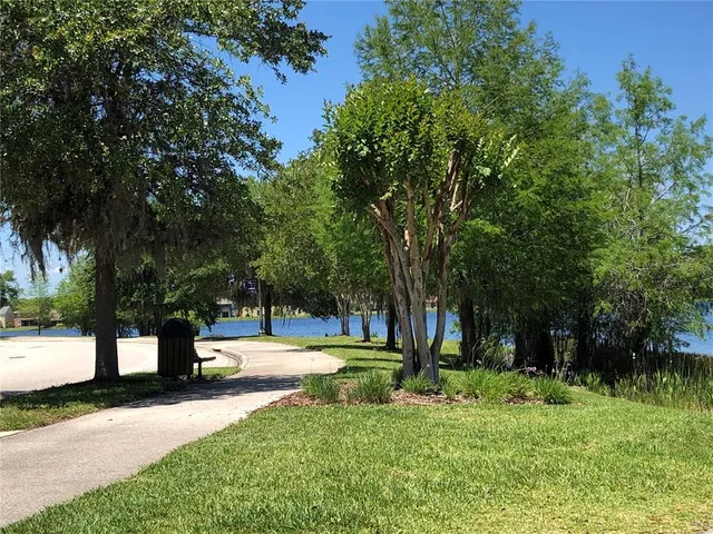 a view of a park with tree s