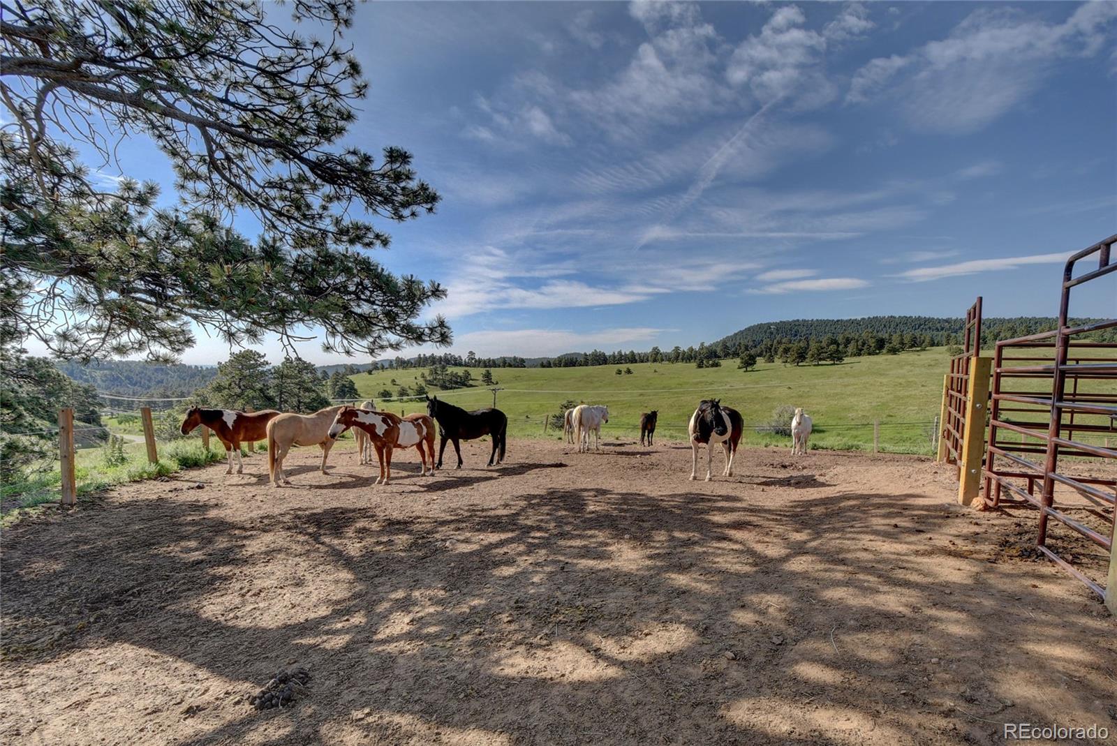 25997 Mountain View Road Golden, CO 80401 - Photo 47 of 47