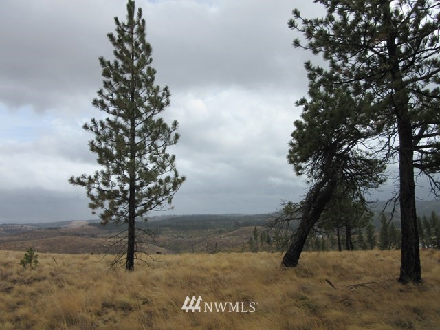 10 Dry Pataha Road Pomeroy, WA 99347 - Photo 1 of 9