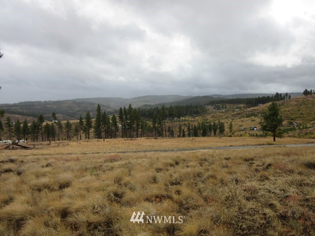 10 Dry Pataha Road Pomeroy, WA 99347 - Photo 2 of 9